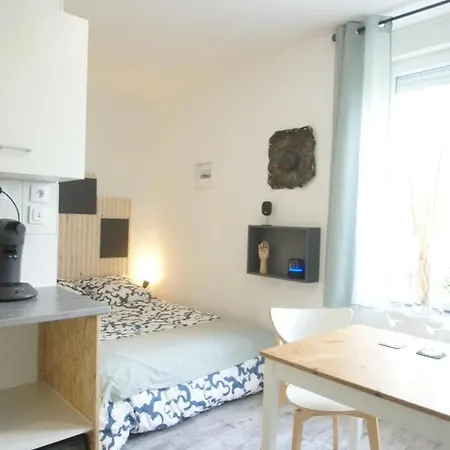 Le Petit Alexandre, 25 M² Centre 公寓 *