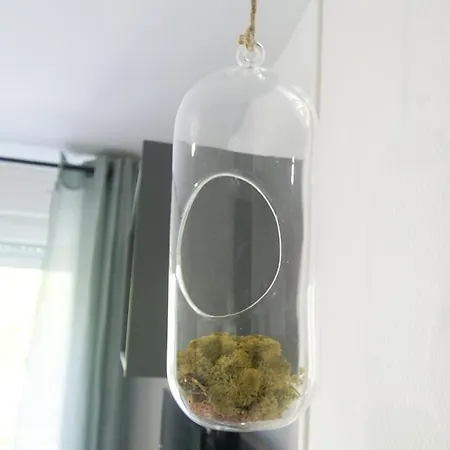 Apartment Le Petit Alexandre *