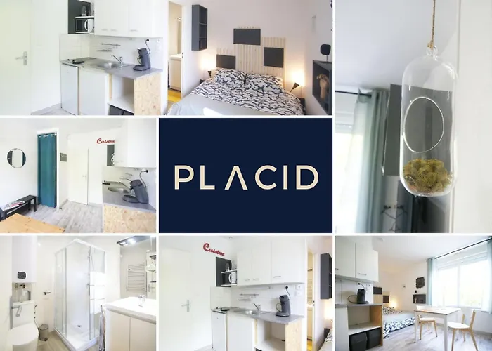 Apartment Le Petit Alexandre *