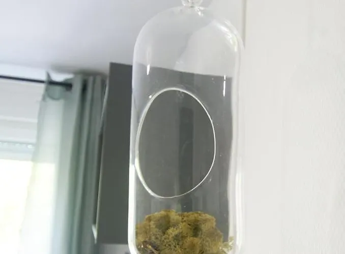 Apartment Le Petit Alexandre *